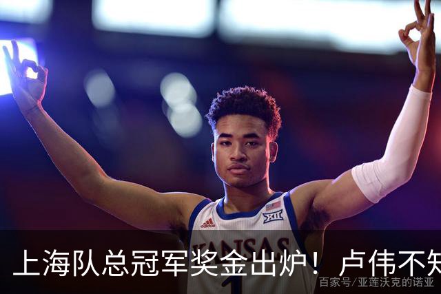上海队总冠军奖金出炉！卢伟不知道怎么分，张镇麟和王哲林谁多